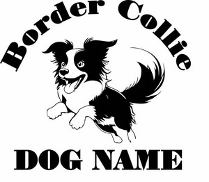  border collie. sticker!!W=180mm!