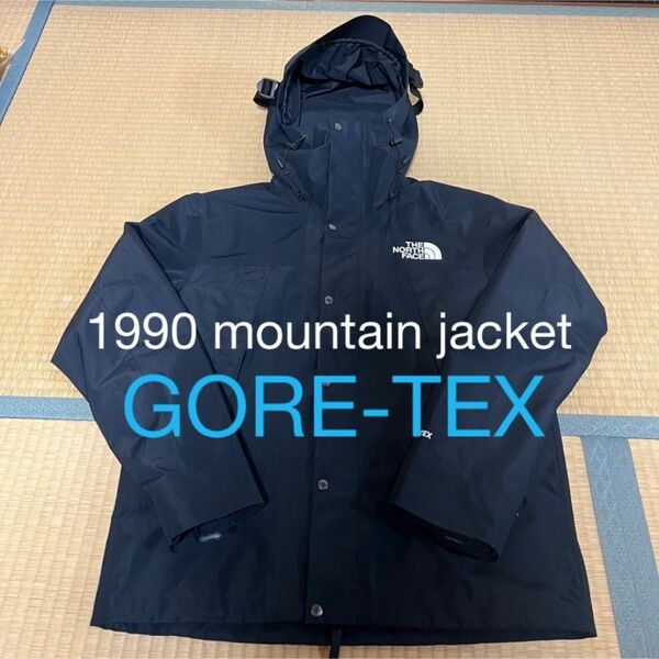 国内未発売 the north face mountain jacket gtx