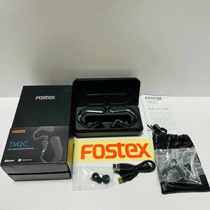 【極美品】FOSTEX TM2C BLACK