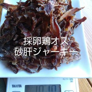 私が育てた採卵鶏オス砂肝ジャーキー100g