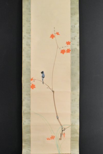 K2964 Copy of Motomitsu Saegusa's Little Bird on a Maple Paperback Blue Bird Master of Chikupo Otake Autumn Leaves Japanese Painting Chinese Calligraphy Painting Old Painting Hanging Scroll Hanging Scroll Antique Art Written by People Mounting, painting, Japanese painting, flowers and birds, birds and beasts