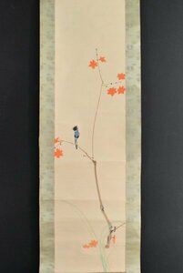 Art hand Auction K2964 Kopie von Motomitsu Saegusas „Kleiner Vogel auf einem Ahorn Taschenbuch Blauer Vogel Meister von Chikupo Otake Herbstblätter Japanische Malerei Chinesische Kalligraphie Malerei Alte Malerei Hängerolle Hängerolle Antike Kunst, geschrieben von Menschen, Montage, Malerei, Japanische Malerei, Blumen und Vögel, Vögel und Tiere