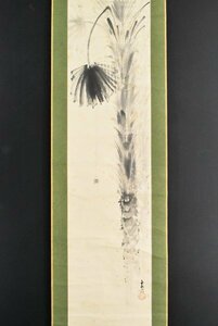 Art hand Auction K3299 Œuvre authentique de Kasumune Chatani Ryusei Araignée suspendue à la paume Livre papier Boîte de connaissances Manuscrit par Toune Araki Maître Kumo Peinture chinoise japonaise Peinture Parchemin suspendu Parchemin suspendu Art antique Art Peuple de Noto, peinture, Peinture japonaise, fleurs et oiseaux, oiseaux et bêtes