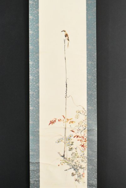 K3154 Copy Oda Chou's Flowers and Birds Paperback Box Sparrow Autumn Grass Japanese Painting Chinese Old Painting Hanging Scroll Hanging Scroll Antique Art Painting Written by People, painting, Japanese painting, flowers and birds, birds and beasts