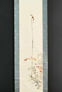 Art hand Auction K3154 Copy Oda Chou's Flowers and Birds Paperback Box Sparrow Autumn Grass Japanese Painting Chinese Old Painting Hanging Scroll Hanging Scroll Antique Art Painting Written by People, painting, Japanese painting, flowers and birds, birds and beasts