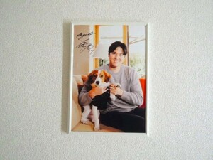 大谷翔平 結婚 おめでとう 愛犬 ポスター 写真 フォトフレーム 横22cm 縦32cm サイズ A4