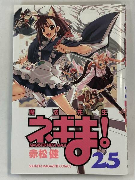 『魔法先生ネギま！（25）』、赤松健、株式会社講談社(講談社コミックス)