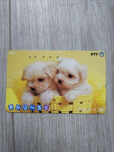 テレホンカード テレカ 犬 NTT 子犬 【使用済み】