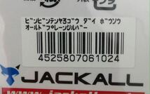 ジャッカル JACKALL ビンビンテンヤ房総 大 オールドプレンシルバー_画像4