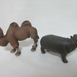 Schleich ◆シュライヒ 動物 フィギュア 5体 まとめて  カロラータ ブリテン 動物フィギュアの画像5