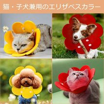 エリザベスカラー ネコ 猫 軽量 ソフト ストレス軽減 傷舐め防止 SNS映え かわいい ペット用_画像6