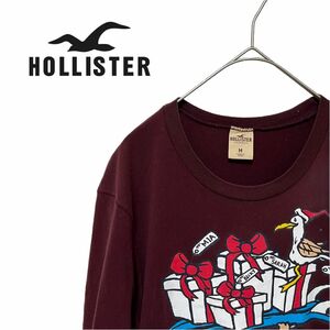 超美品　古着　HOLLISTER ホリスター　Tシャツ　半袖　00s