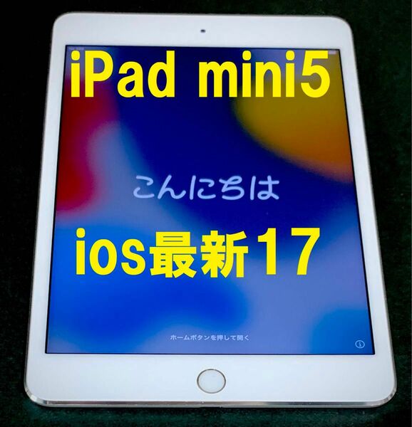◆ 64GB ios最新17! iPad MINI 5 アップルIPAD MINI 第5世代 指紋認証OK！ 