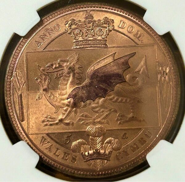 NGC唯一鑑定 MS66RD 1887年 ヴィクトリア女王 ジュベリーヘッド ウェールズの伝承 ファンタジーコイン 銅貨