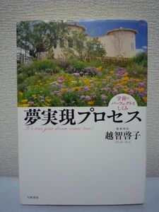 夢実現のプロセス 宇宙のパーフェクトなしくみ★越智啓子◆啓発