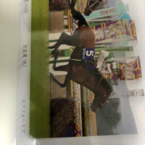 競馬天皇賞秋エフフオーリア横山武史ウイナーデジタルフォト新品未使用未開封品の画像1