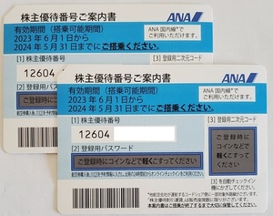 【送料無料・番号通知OK】全日空ANA株主優待券２枚セット2024年5月31日まで