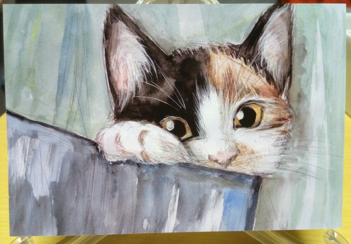 Original watercolor cat Hand-Drawn artwork illustration reproduction postcard Choco-chan① [Aoki Shizuka], Printed materials, Postcard, Postcard, animal