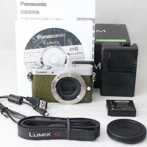 ☆新品級・ショット数864☆ パナソニック ミラーレス一眼カメラ LUMIX GM5 ボディ グリーン DMC-GM5-G Panasonic #2009