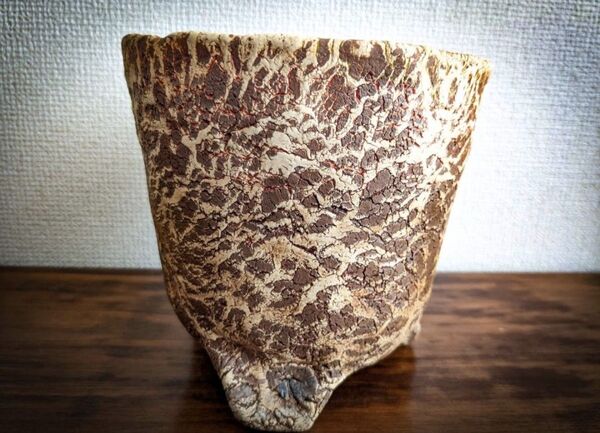 ラスト☆wood ポット 大 LL 芽の巣山 植木鉢 多肉植物 陶器鉢 toky 鶴仙園 観葉invisible ink たけろう