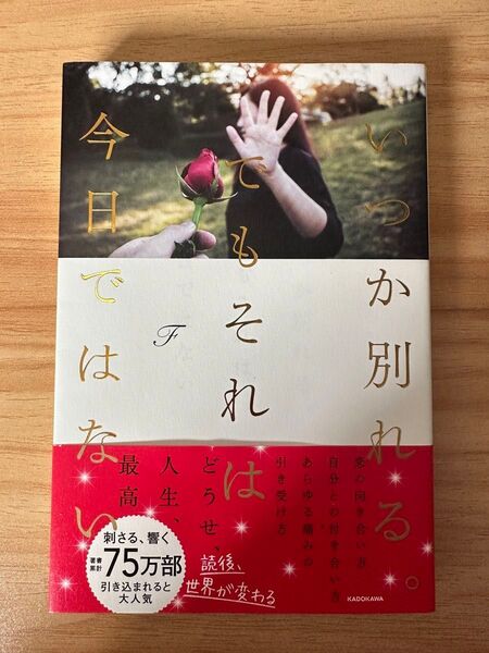 いつかは別れるでもそれは今日ではない F 帯付