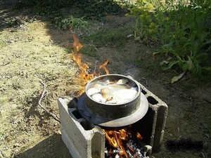  season limitation *.. establish takenoko*. boiler ..... bamboo shoots large bin 