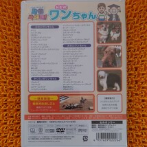DVD 動物大好き! NEWワンちゃんスペシャル50_画像3