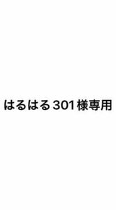 はるはる301様専用