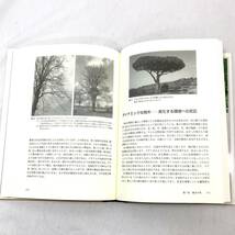 ＊樹木学 ピーター・トーマス 築地書館 Trees Their Natural History 自然 葉 根 種子 生物学_画像4