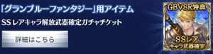 グランブルーファンタジー SSレアキャラ解放武器確定ガチャチケット（Granblue Fantasy Versus Rising ヴェイン購入特典） シリアルコード 