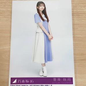 11円〜 乃木坂46 生写真 菅原咲月 ここにはないもの 封入の画像1