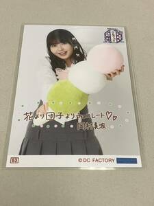 【岡村美波・53番】Hello! Project ひなフェス 2024 コレクション生写真!