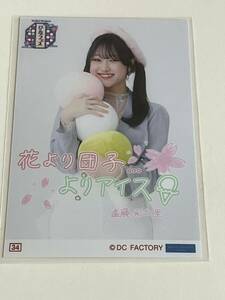 【遠藤彩加里・34番】Hello! Project ひなフェス 2024 コレクション生写真!