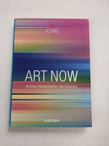 ART NOW TASCHEN 洋書　2001年