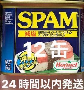 【沖縄限定ラベル】　スパムポーク　減塩　12缶セット