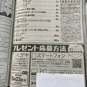 ヤングアニマル 2024 No.9&10 えなこ 綺太郎 サイン入りチェキ応募券 アンプレ用紙の画像2