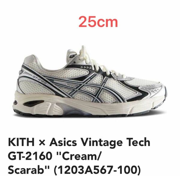 KITH Asics Vintage Tech GT-2160