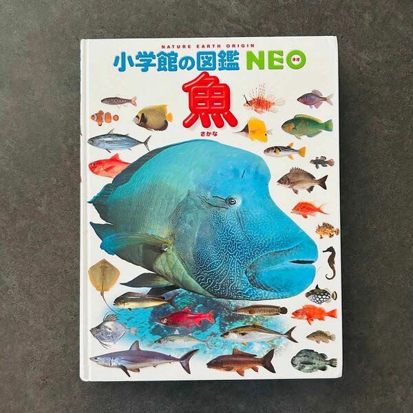 小学館の図鑑ネオ『魚』