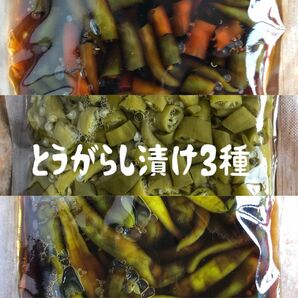 新潟県産　とうがらし漬け3種　鷹の爪/青唐辛子　ご飯のお供