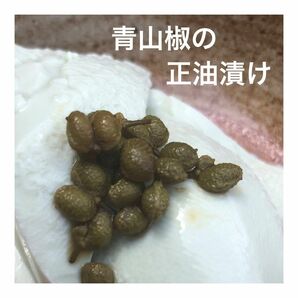 新潟県産　青山椒の正油漬け　100g ご飯のお供