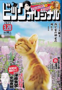 2024 ビッグコミックオリジナル 3月20日号 送料119円から