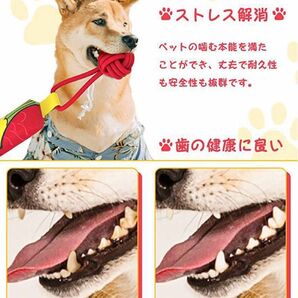 ☆噛む おもちゃ☆犬 可愛い ロープ 音が鳴る 中型犬 大型犬 虫歯対策