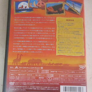 DVD ライオン・キング スペシャル・エディション 2枚組 The LION KING ディズニーの画像4