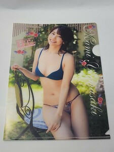 山崎真実 B5クリアファイル ヤングチャンピオン2016年15号付録 I.F.C.No.222　グラビア　アイドル　グッズ　写真