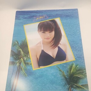 石田亜佑美 クリアファイル「アロハロ! モーニング娘。’14」 アイドル グラビア グッズ の画像2