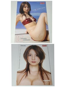 石坂ちなみ　YJアイドル写真集 ちなクロ 石坂ちなみクロニクル best take! shot! collection　付録冊子　グラビアアイドル　