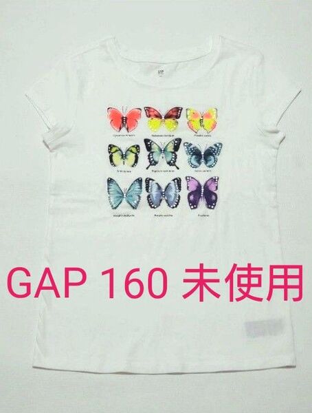 GAP kids ガールズ半袖Tシャツ 160サイズ