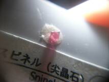 宝石質　中国　雲南省　レッドスピネル　赤色尖晶石　多面体　定型外発送_画像10