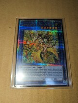 遊戯王　オオヒメの御巫　CR01-AE191 アジア英語版　25thシク_画像1