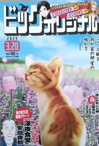 【2024年No.6★ビッグコミックオリジナル(3月20日号)★送料127円～】深夜食堂/ミワさんなりすます/セシルの女王/前科者/テツぼん